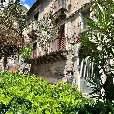 Sangiuliano282 Catania